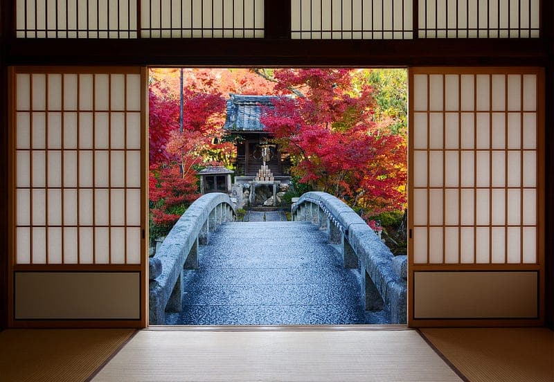 The Learning Dojo